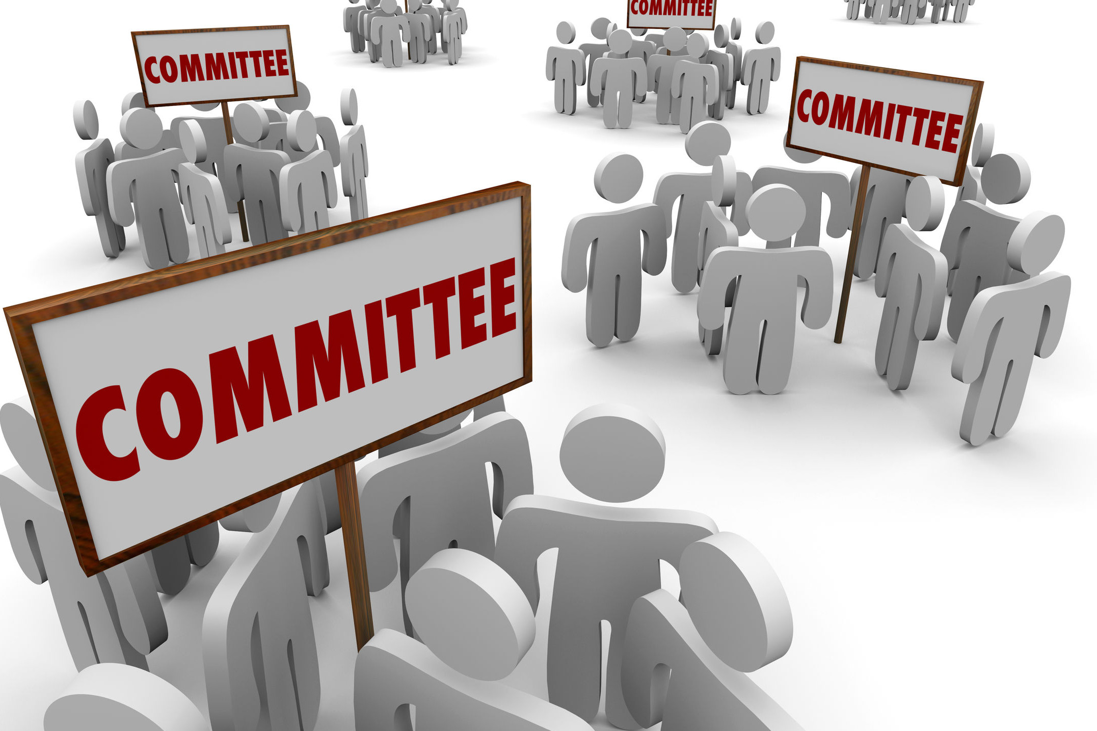 Scientific Committee and Programme Comittee